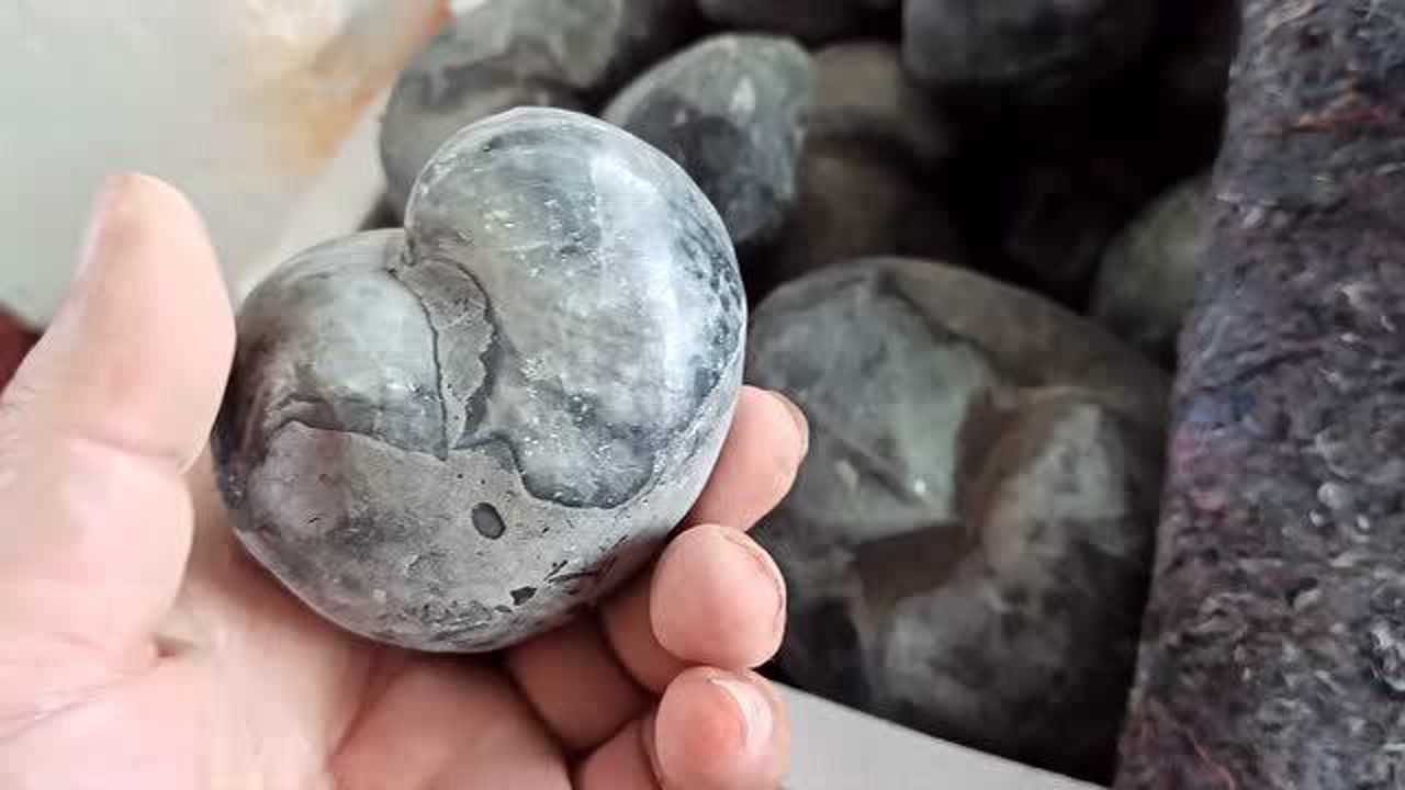 亿万年前古生物化石玉化鹰嘴螺市场稀有相信你一定没见过