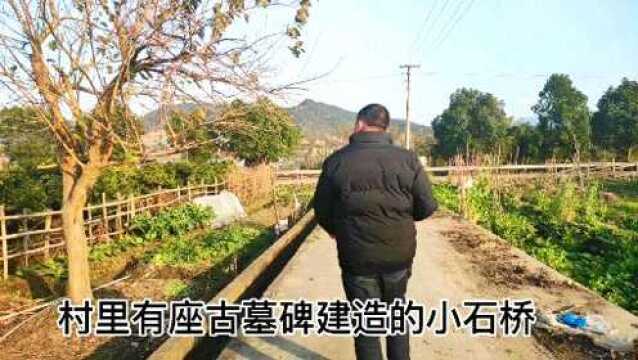 宁波农村有座用古墓碑建造的小石桥,站在桥洞下真有感觉