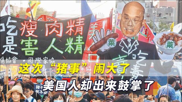 “台湾是美国的奴隶”?岛内“猪事”闹大了,美国人却鼓掌了