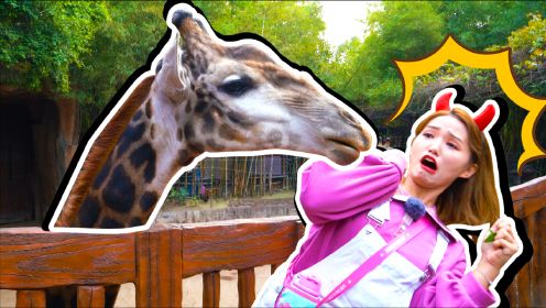 晶晶姐姐被大象和长颈鹿喷水好好笑！来和动物朋友们玩耍吧！_02