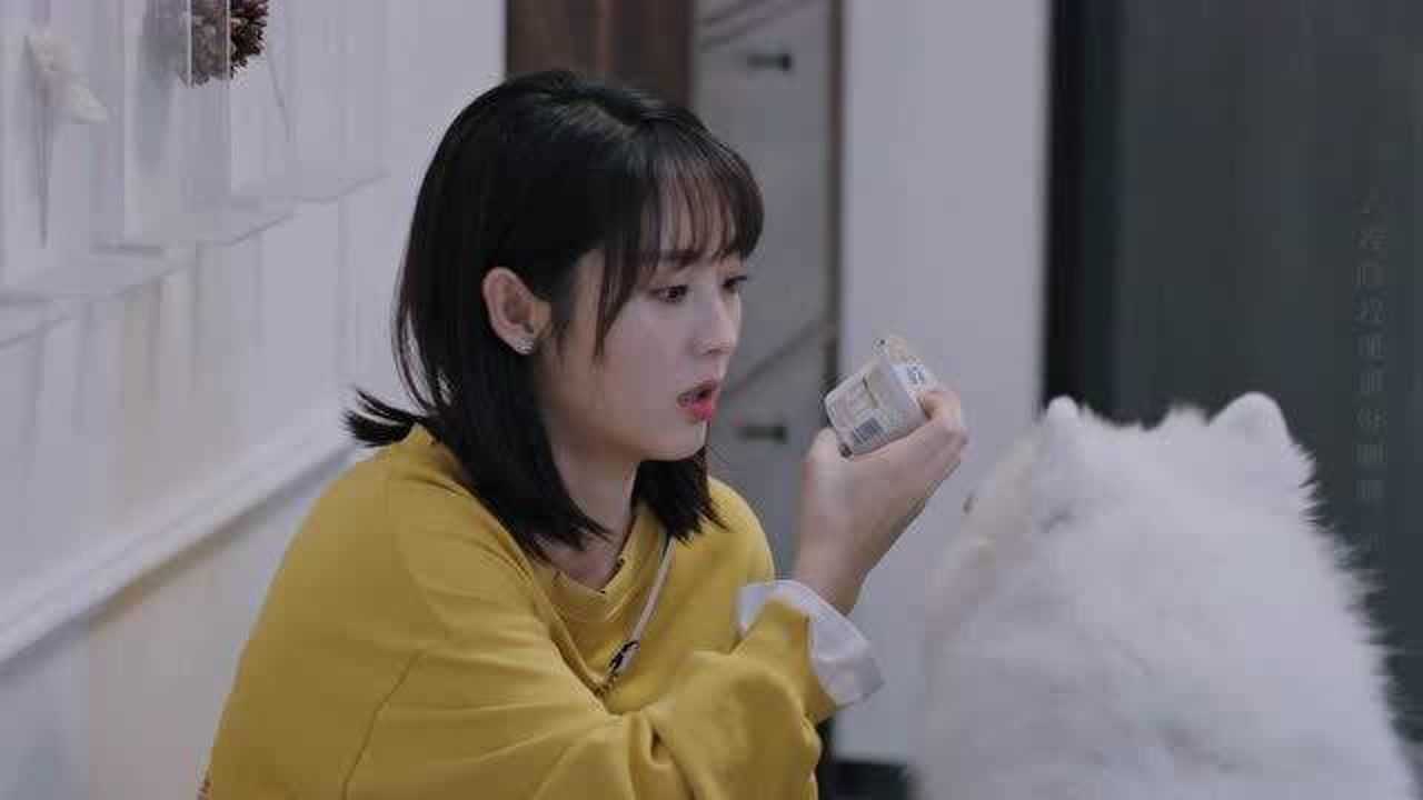 我的小确幸丛容尝试着和狗讲道理真是没谁了