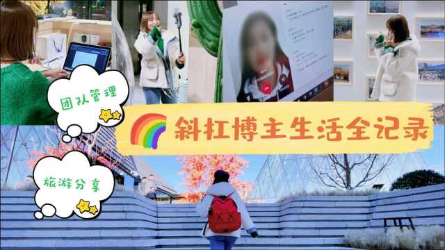 智联视频面试vlog