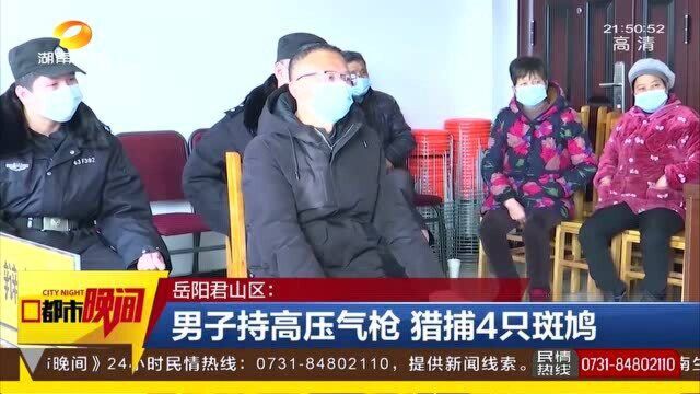 候鸟的必经之地 男子持高压气枪捕猎4只斑鸠 被判处一个月拘役!