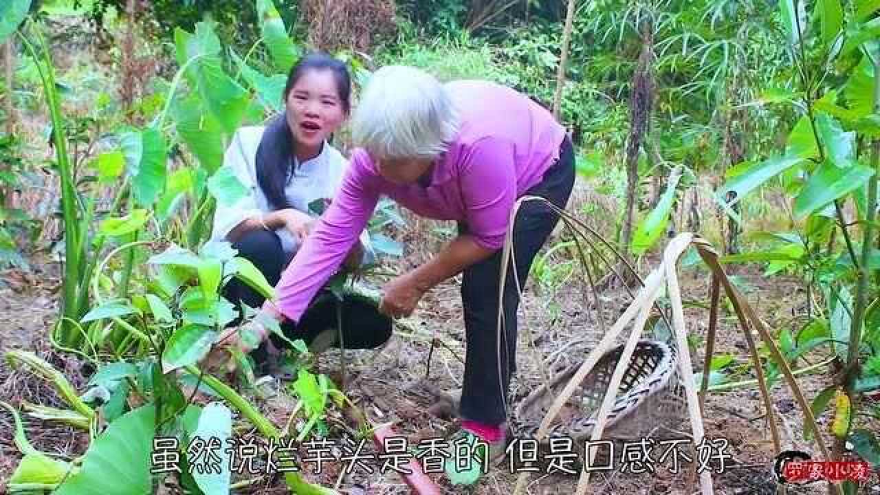 芋头怎么做最好吃?农村大妈教你广西地道吃法,比外面买的还好吃腾讯视频}