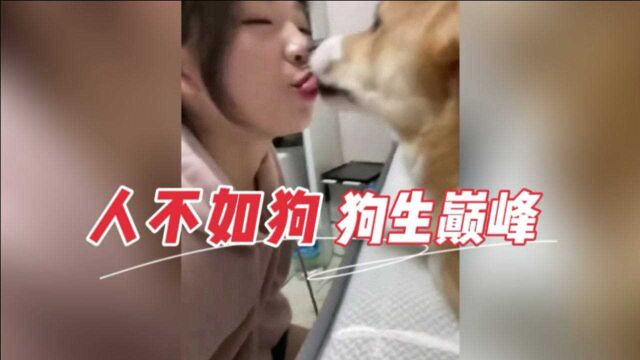 人不如狗,狗生巅峰:人类搞笑沙雕图鉴