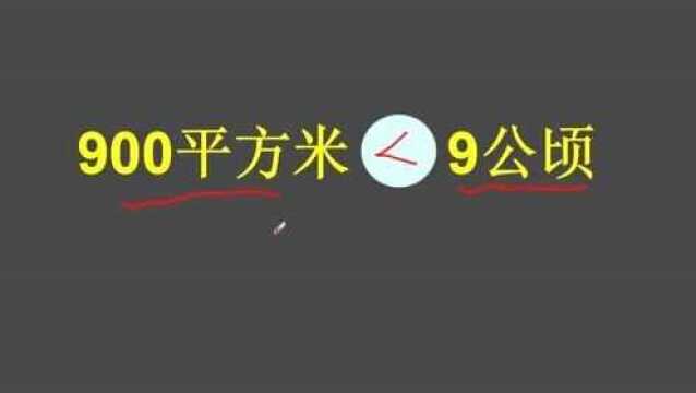 面积单位的换算及比较大小