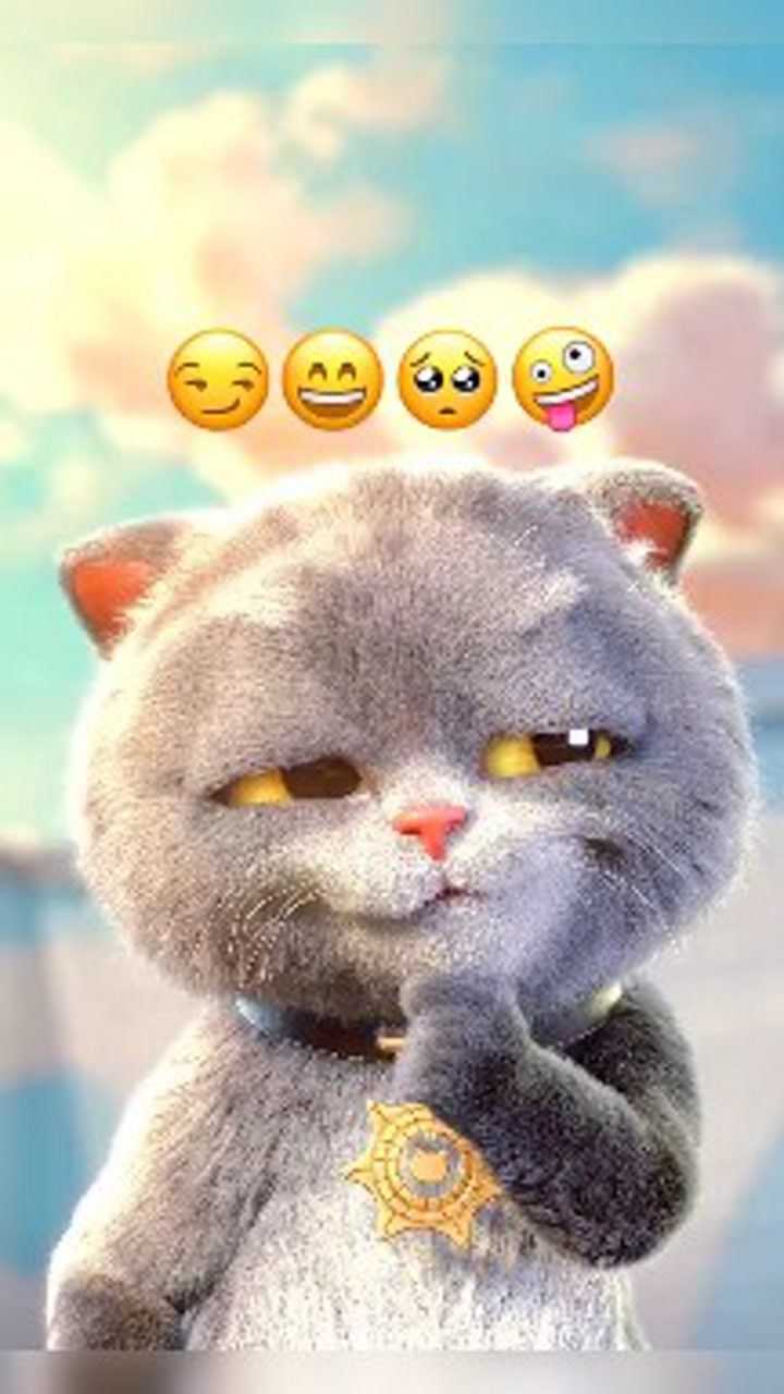 斑布猫动漫合集