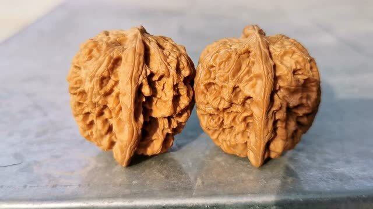 麻核桃43将军膀全品无修纹路粗犷小气门芝麻粒