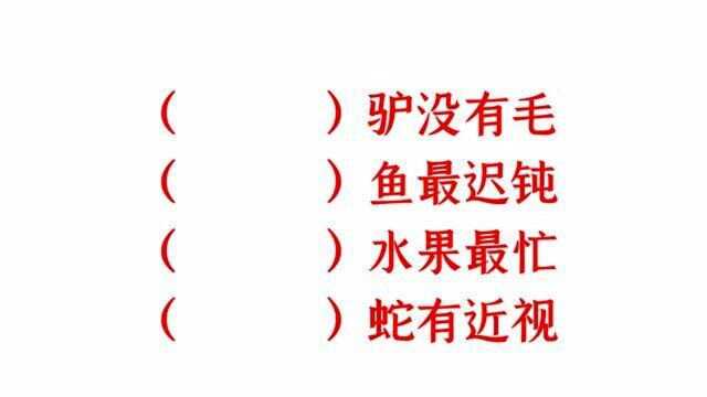 脑筋急转弯,什么鱼最迟钝,什么水果最忙,什么驴没毛呢?