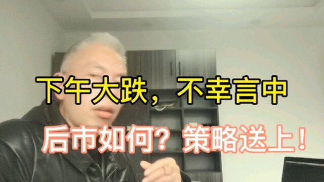 周五下午大跌,乌鸦嘴说中,后市怎么走?稳起!