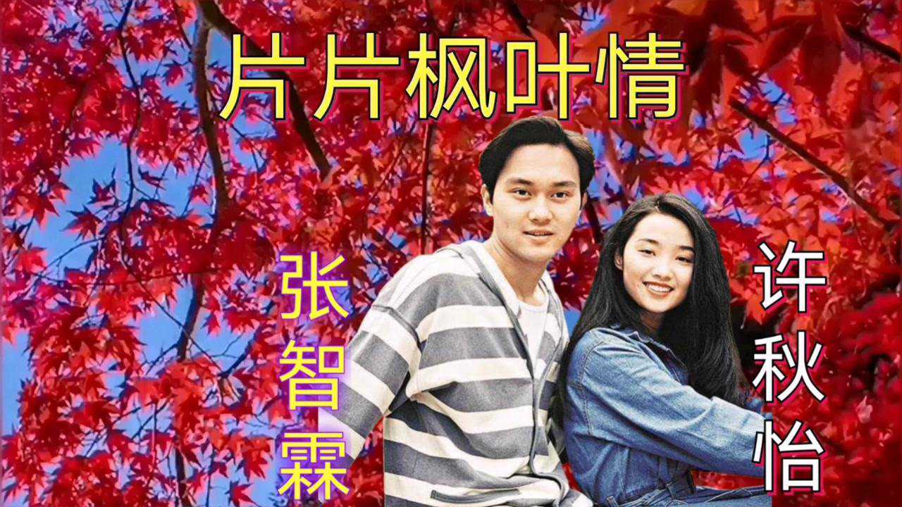 《经典音乐回顾》,张智霖,许秋怡完美演绎《片片枫叶情》,醉人_腾讯视