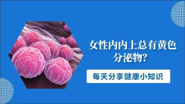 女性内内上总有黄色分泌物?可能是这3点在做怪,及时治疗要到位