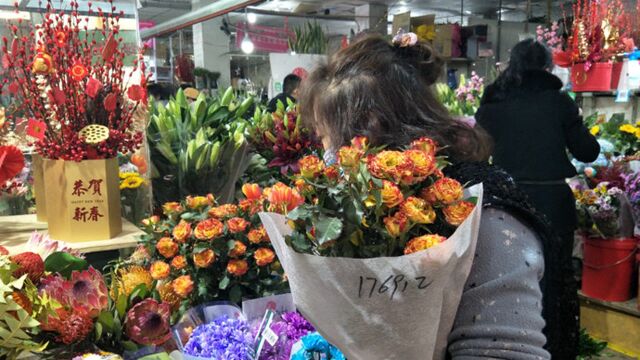 果然视频|节前鲜花市场迎来旺季,情人节紧靠春节玫瑰身价倍增