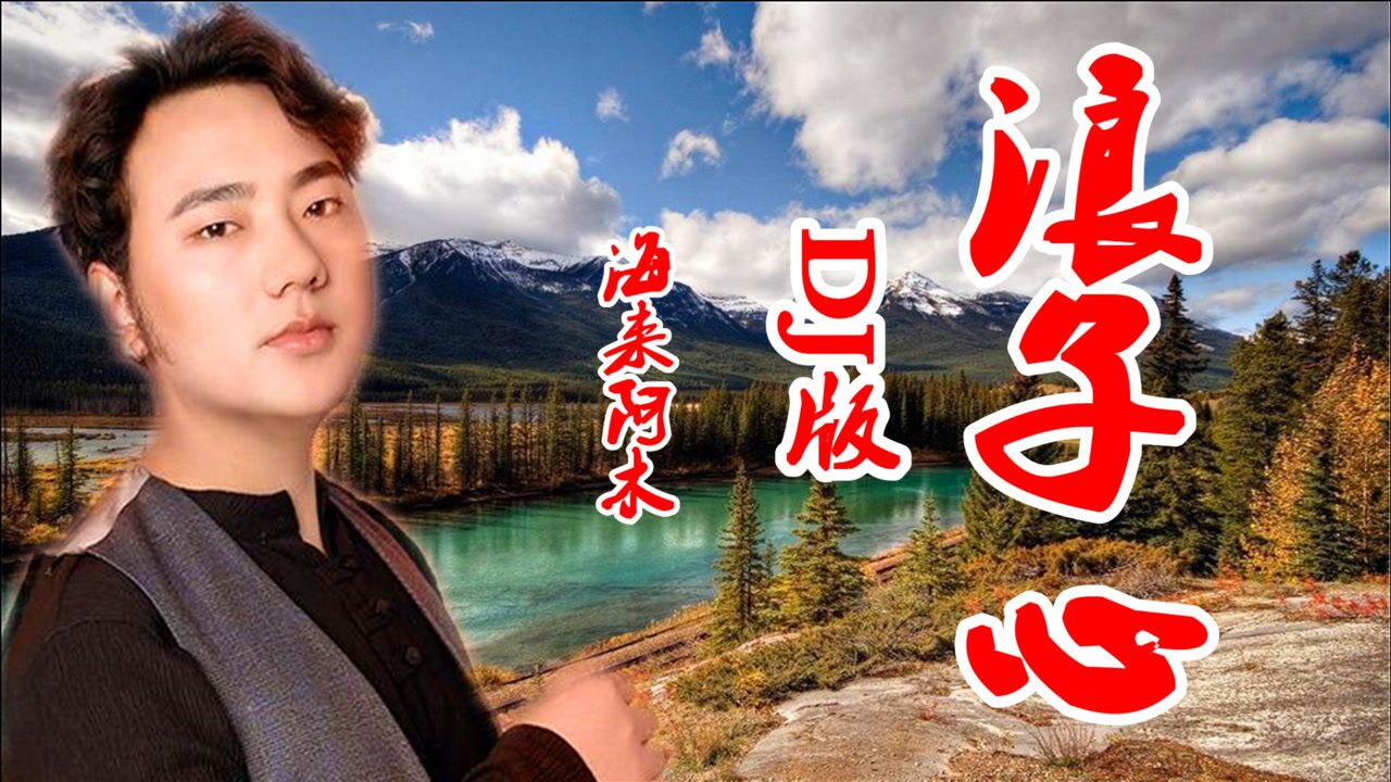 海来阿木《浪子心》最火dj版