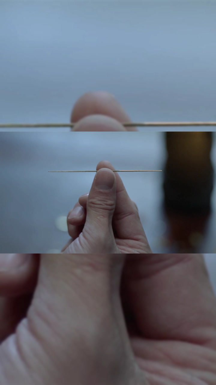 斗罗大陆真人版~龙须针