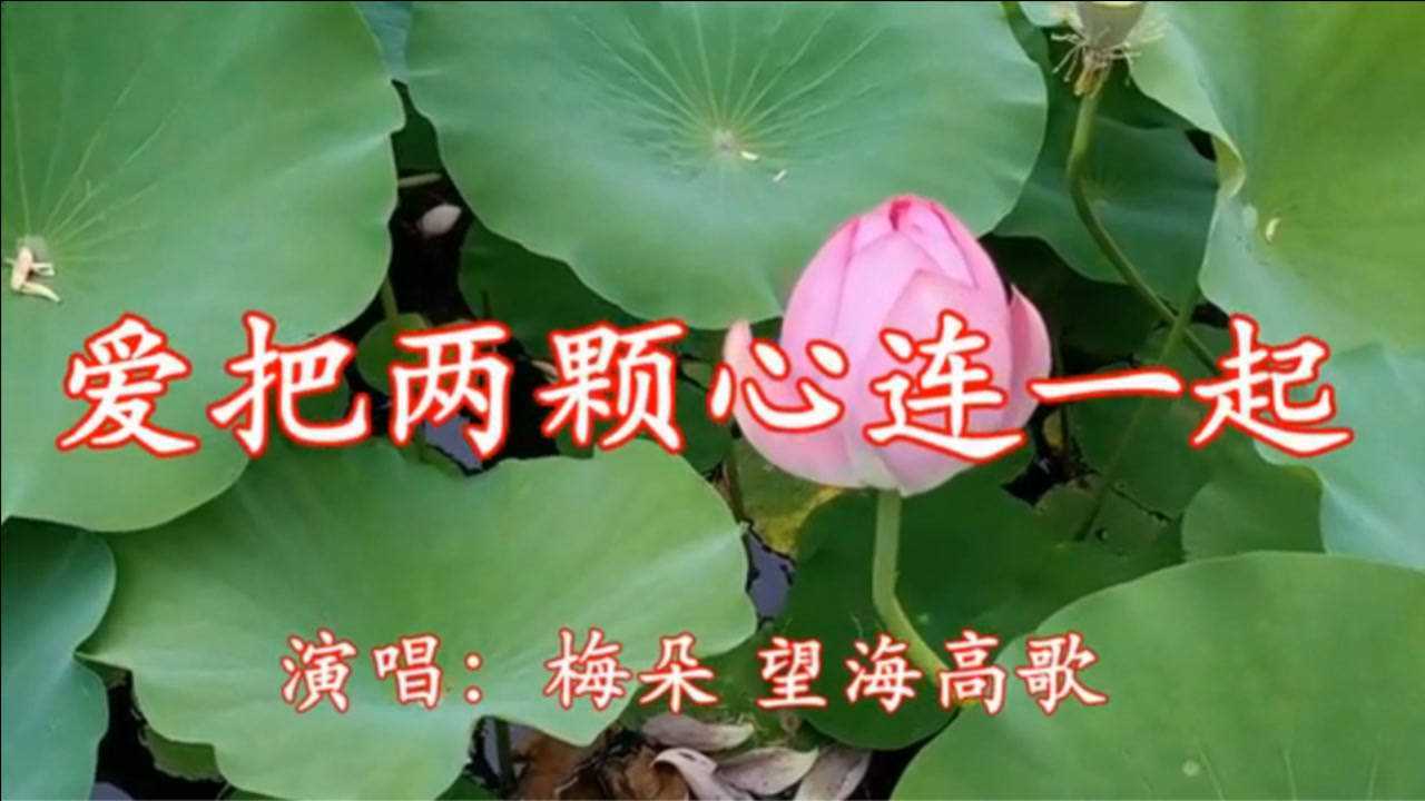 梅朵一曲《爱把两颗心连一起》想你念你,心心念念都是你!