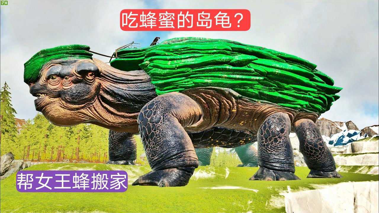 方舟帕格纳西亚6:帮女王蜂搬家 顺手用蜂蜜驯服一只岛龟!