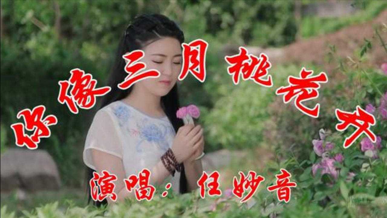 任妙音一首你像三月桃花开清脆甜美柔情悦耳句句醉人心扉