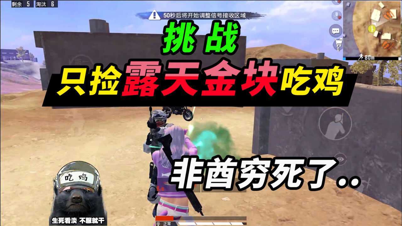 突击手蜜獾:挑战只用露天金块吃鸡,穷的啥都买不起,直接上拳!