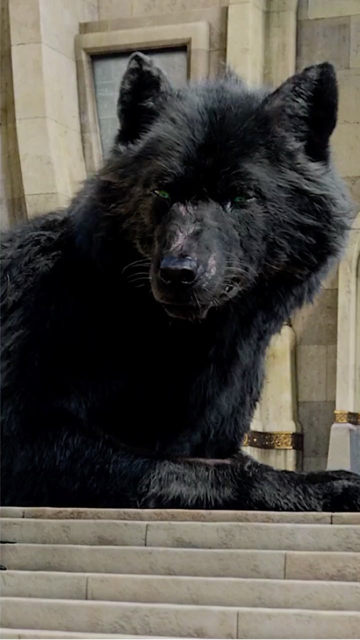 北欧神话中的巨狼芬里尔绿巨人的皮都能咬破