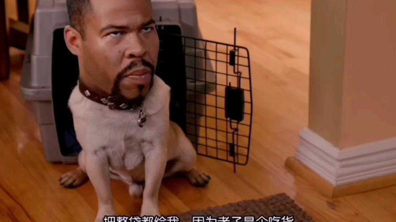 爆笑黑人兄弟人头狗