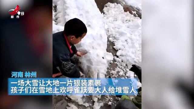 大雪过后堆雪人 “雪猪”你见过吗? 还生了一窝“雪猪仔”