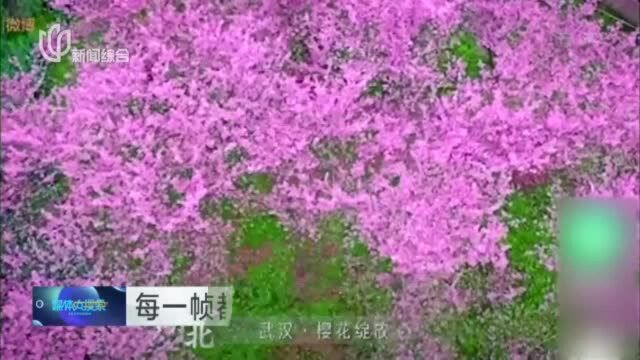 每一帧都是壁纸 春天里的锦绣中国