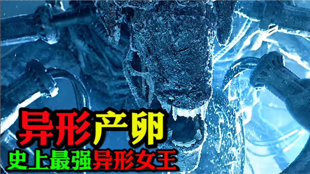 异形女王生蛋的样子你们见过吗?