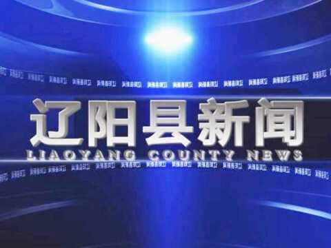 辽阳市人大到辽阳县调研市县乡三级人大换届选举工作