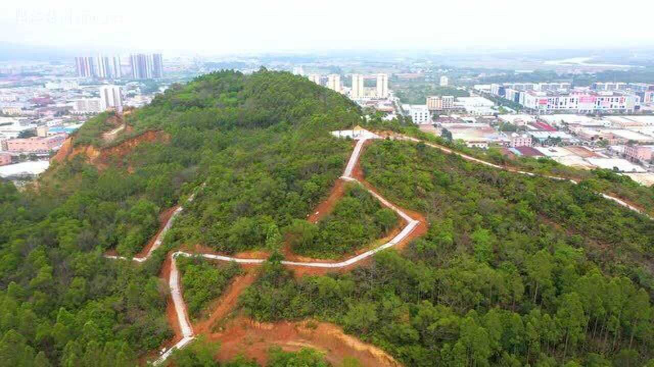 阳江市阳东区竹篙山森林公园美景202136