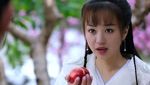小岚就想摘个桃子吃而已，没想到却让太子对她一见钟情