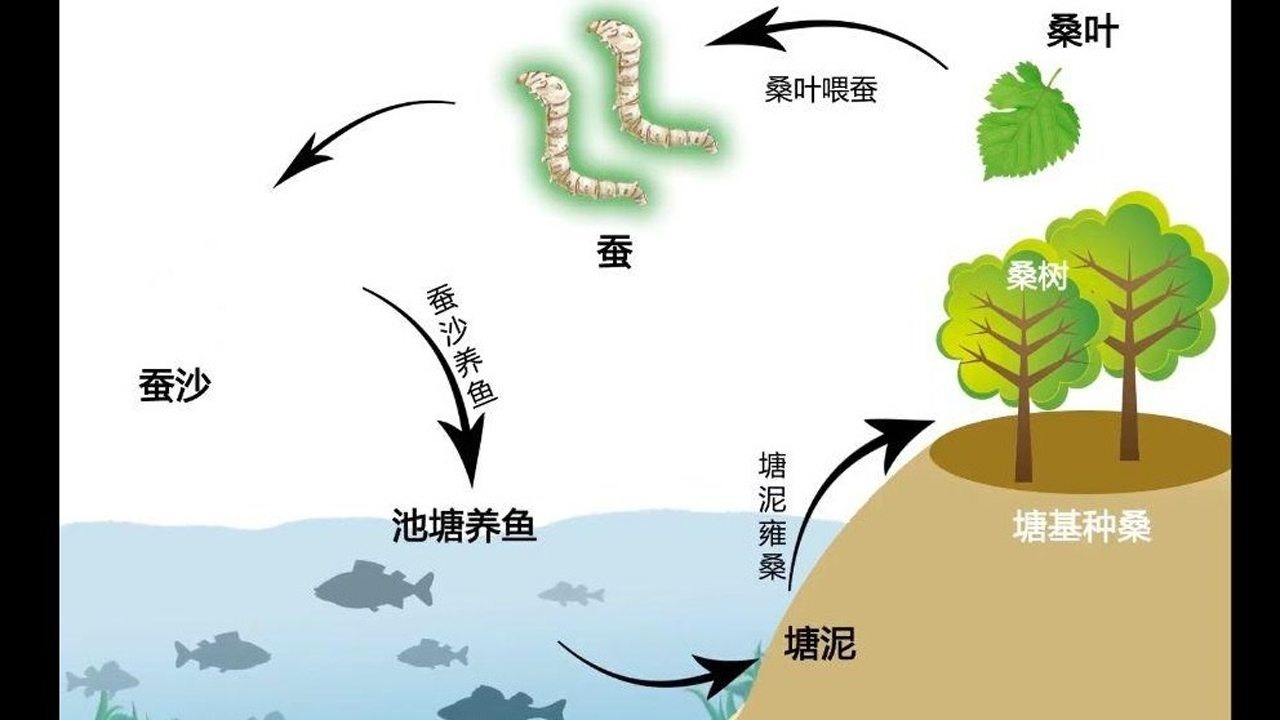 基塘农业的转型_腾讯视频