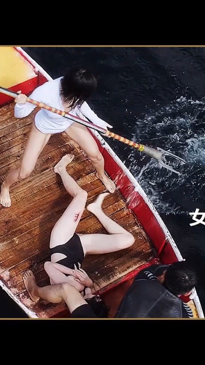 赵奕欢的鲨鱼电影图片