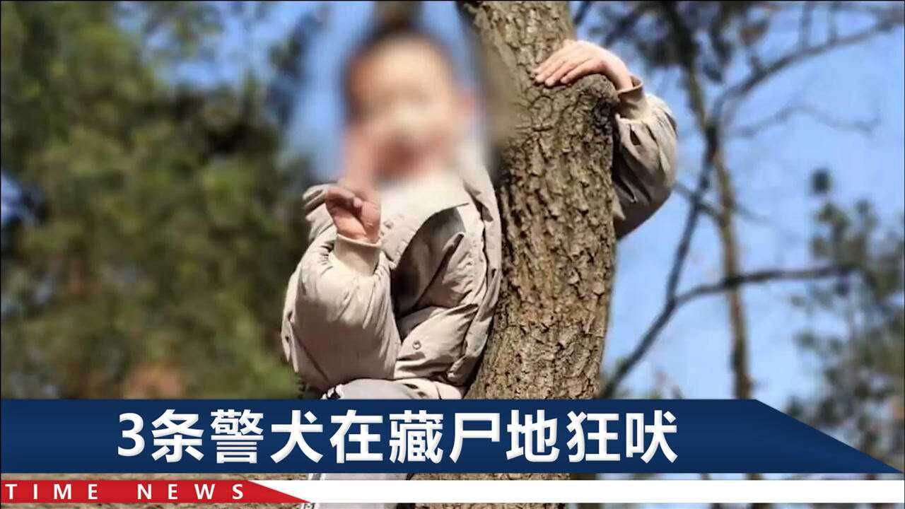 陕西6岁男童之死被13岁邻居骗走杀害父亲痛得不敢再看遗体