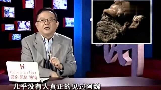 中药专家带你见识传说中的“阿魏”,生长环境严苛,气味独特!