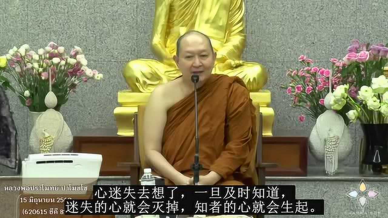 《生活中遇到问题,就会看到修行的好处》——隆波帕默尊者|2019年6月15日(字)_腾讯视频