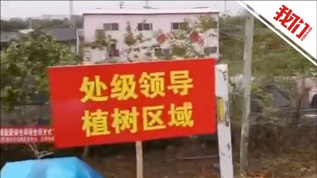 南宁官方对“设置处级领导植树区”道歉:工作人员理解有误造成工作失误