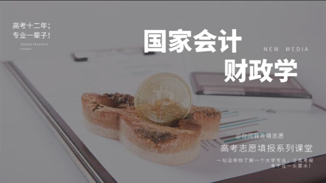 财政学专业解读