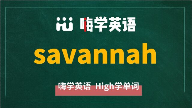 英语单词savannah是什么意思,同根词有吗,同近义词有哪些,相关短语呢,可以怎么使用,你知道吗