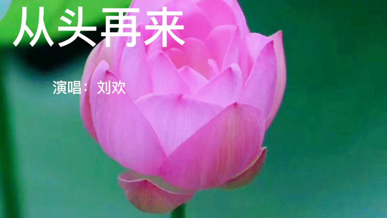 刘欢歌曲:从头再来
