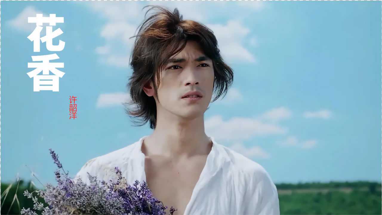 许韶洋的花香还记得薰衣草的花语是什么吗