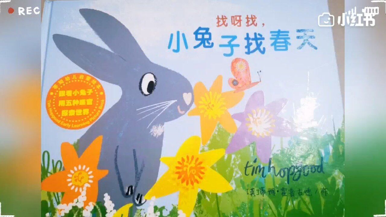 绘本:小兔子找春天_高清1080P在线观看平台_腾讯视频