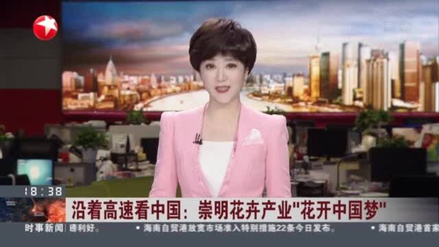 沿着高速看中国:崇明花卉产业“花开中国梦”