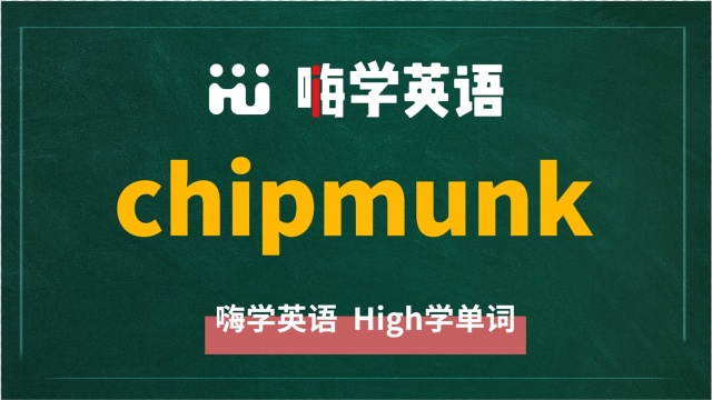 英语单词chipmunk讲师讲解,动动脑袋想一想,它是什么意思,可以怎么使用