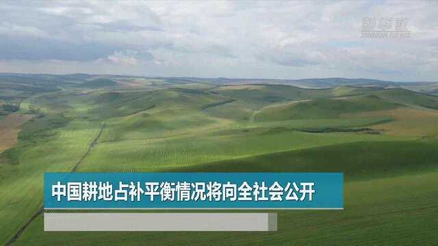 中国耕地占补平衡情况将向全社会公开