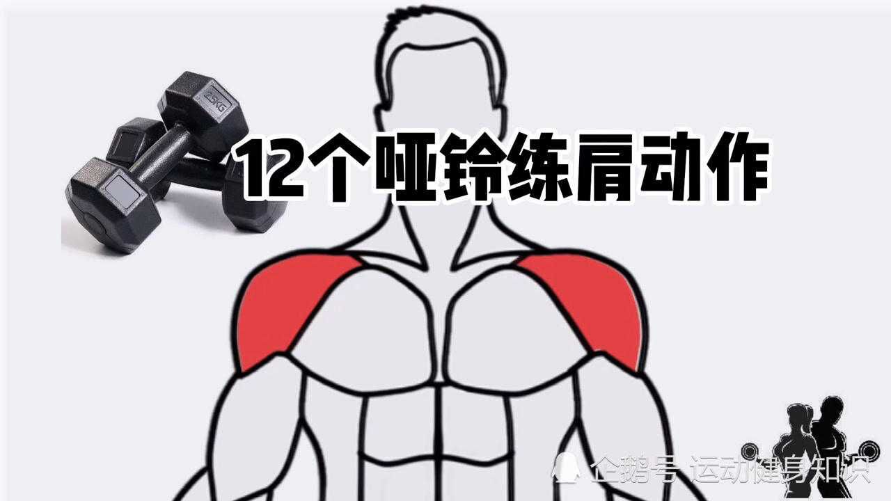 [在家练]12个哑铃练肩动作,一副哑铃练好肩部