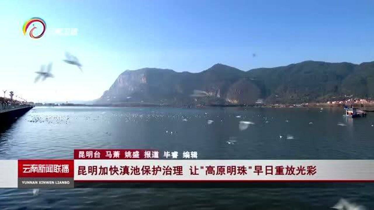 昆明加快滇池保护治理，让“高原明珠”早日重放光彩_高清1080P在线观看平台_腾讯视频
