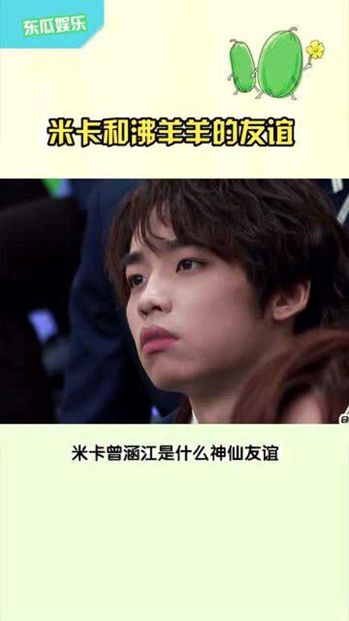 米卡和沸羊羊的友谊