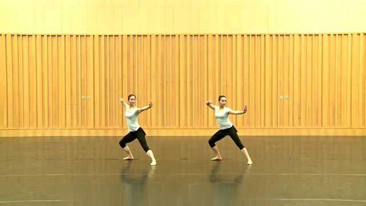 中国舞蹈家协会第四版少儿舞蹈考级八级(全)