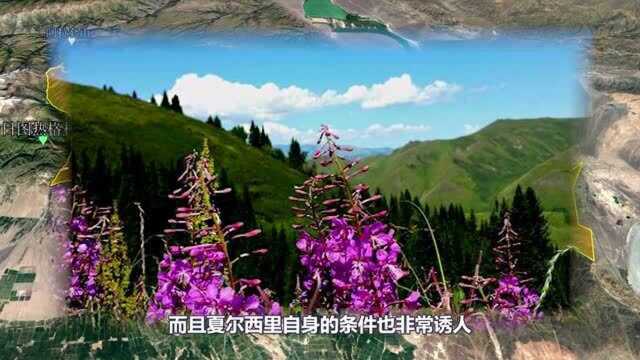 “中国最后一片净土”!98年才回归祖国,很少有人知道的夏尔西里